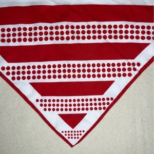 Red and White Polka Dot Stripe Scarf